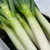 画像276