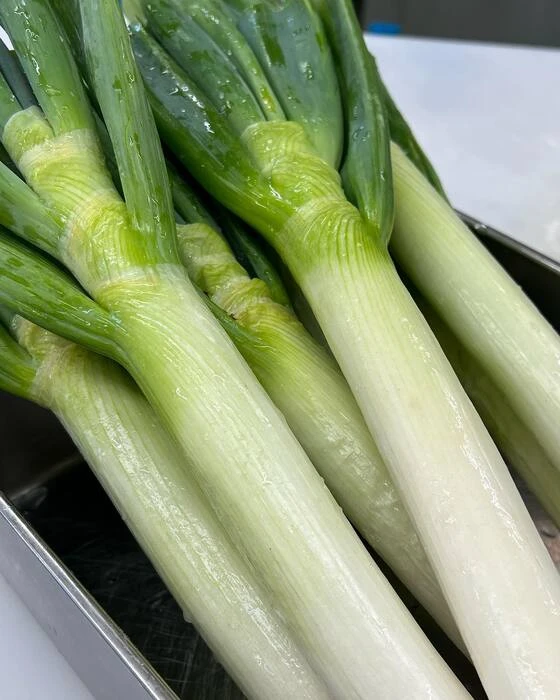 画像276