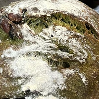 画像451