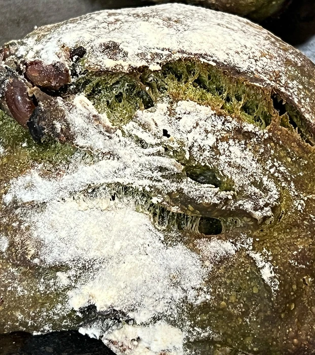 画像451