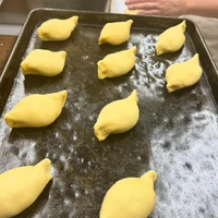 画像458