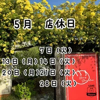 画像484