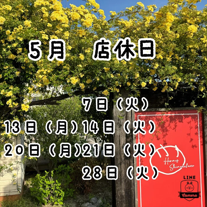 画像484