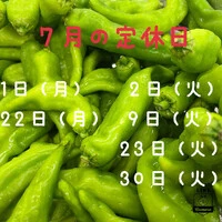 画像536