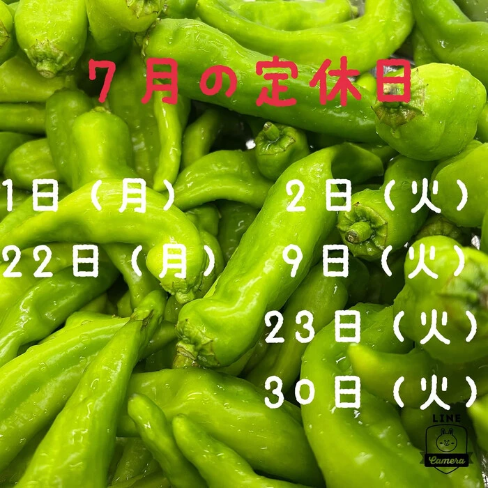 画像536